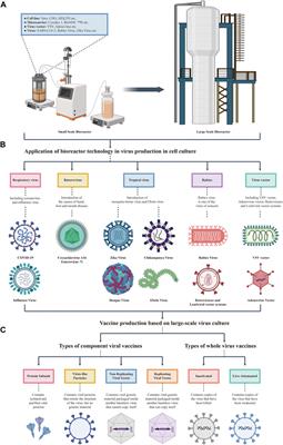 Application of bioreactor technology for cell culture-based viral vaccine production: Present status and future prospects